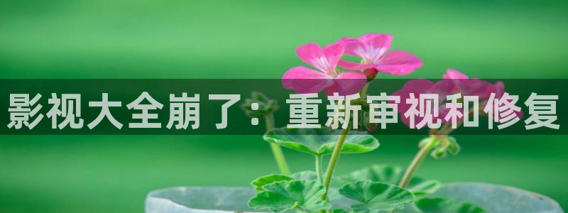 天龙电影在线看