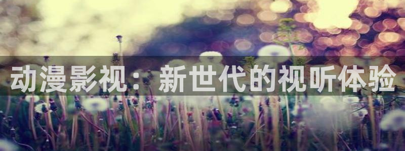 denon 天龙